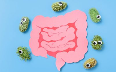 Alimentos para la flora intestinal: el AOVE en la microbiota