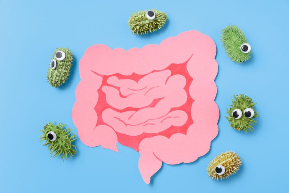 Alimentos para la flora intestinal: el AOVE en la microbiota