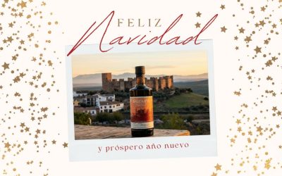 Felices fiestas desde AOVE Baluarte